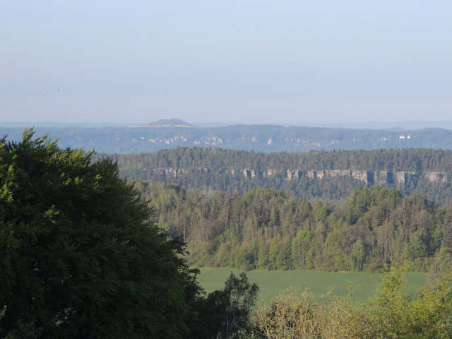 DSCN3096